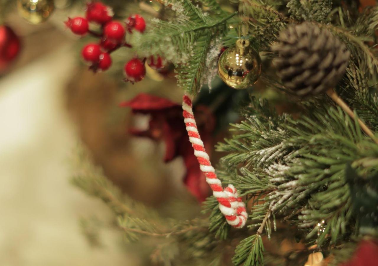 Gefinor Rotana – Beirut Beirute Exterior foto A candy cane on a Christmas tree